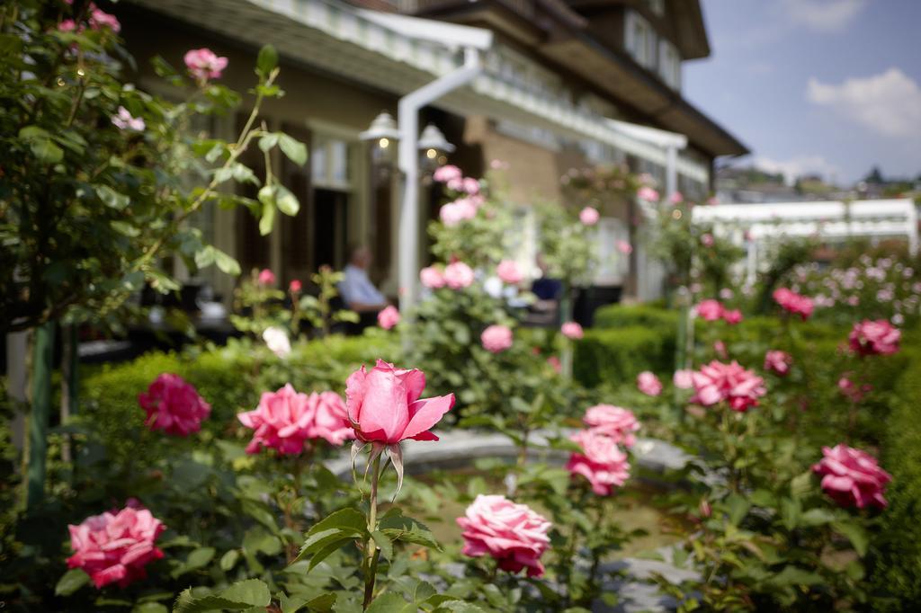 Landgasthof Hotel Roessli Lucerna Exterior foto